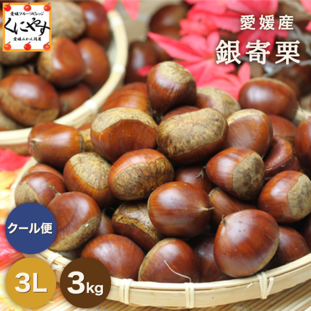 栗の王様とも呼ばれる銀寄栗を愛媛県から産地直送でお届け【3kg】