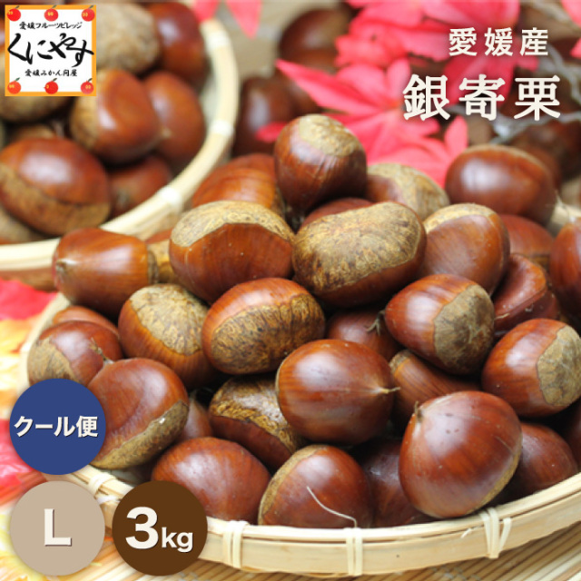 栗の王様とも呼ばれる銀寄栗を愛媛県から産地直送でお届け【3kg】