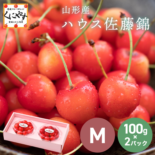 山形産のさくらんぼ・佐藤錦を少量で贈りやすいギフト用にご準備しました