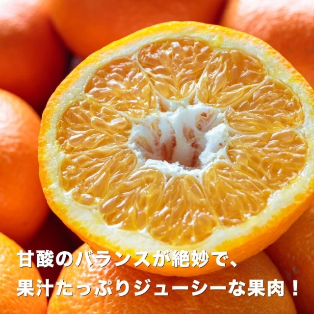 伊予柑イメージ