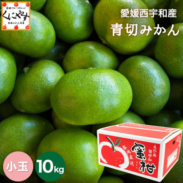 「小玉青切みかん10」【送料無料】【ギフト】【産地直送】愛媛西宇和産青切小玉みかん 10kg