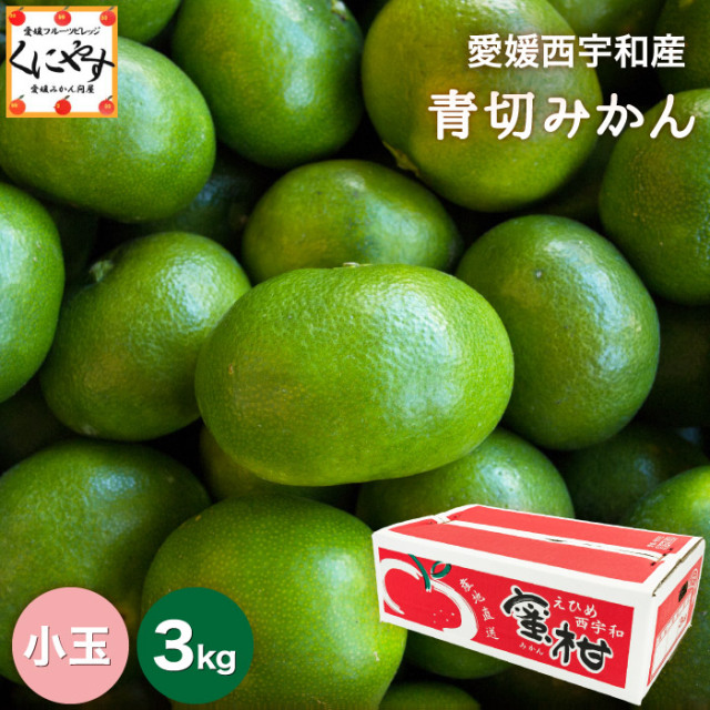 「小玉青切みかん3」【送料無料】【ギフト】【産地直送】愛媛西宇和産青切小玉みかん 3kg