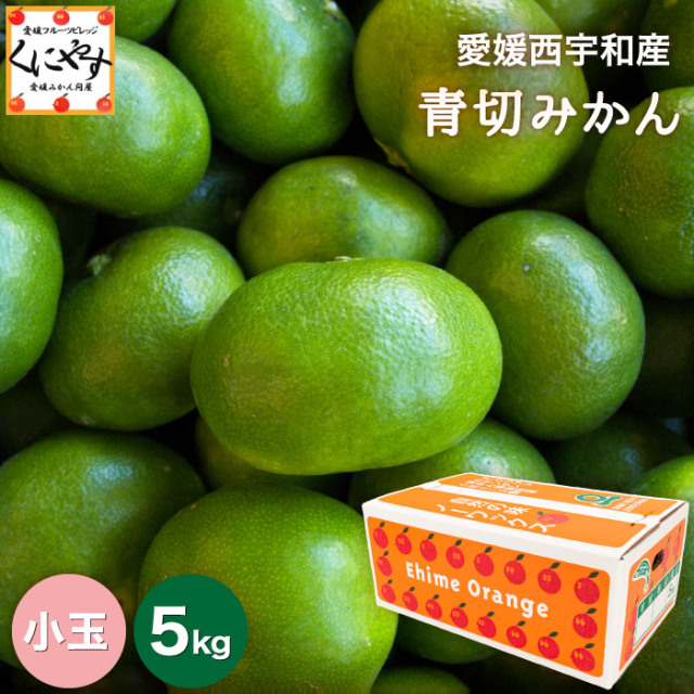 「小玉青切みかん5」【送料無料】【ギフト】【産地直送】 愛媛西宇和産青切小玉みかん 5kg
