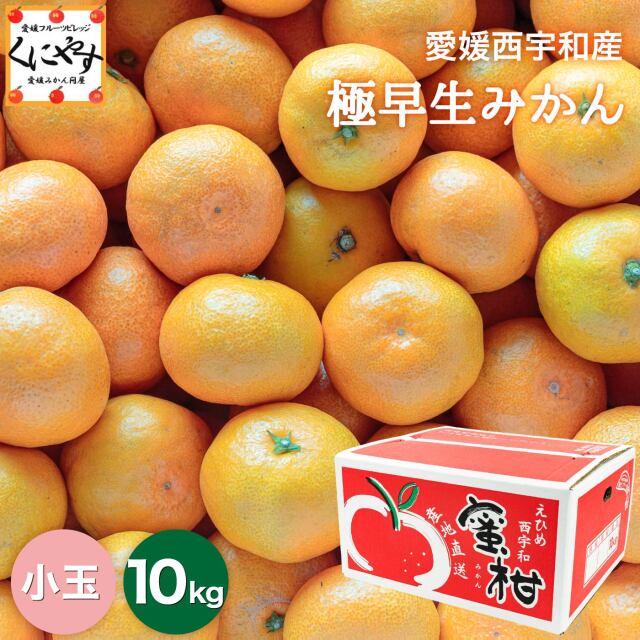 「小玉極早生みかん10」【予約品】10月中旬～下旬発送【送料無料】【産地直送】【ギフト】愛媛西宇和産 極早生小玉みかん 10kg 