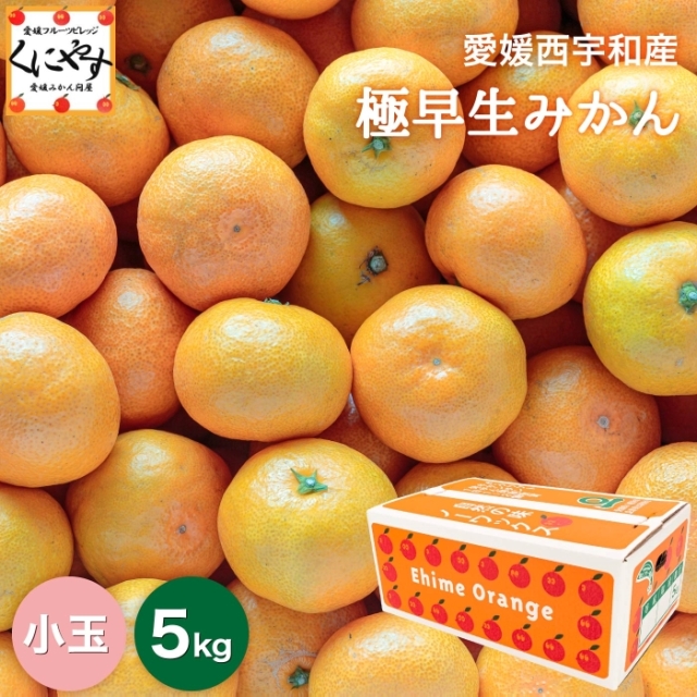 「小玉極早生みかん5」【1～5営業日以内当店発送予定】【産地直送】【ギフト】愛媛西宇和産 極早生小玉みかん 5kg 