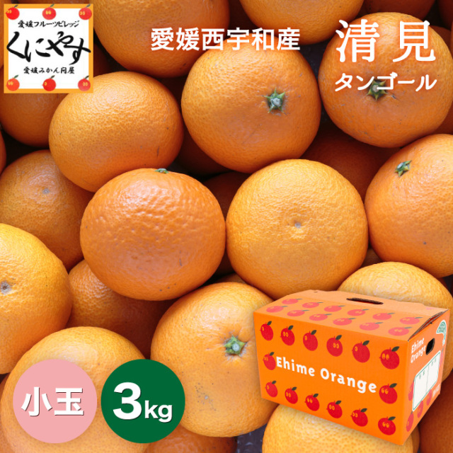 沙耶さま専用出品 星タンゴール3年生 苗木 西南のひかり タンゴール 苗 おすすめ 苗木部 By 花ひろばオンライン