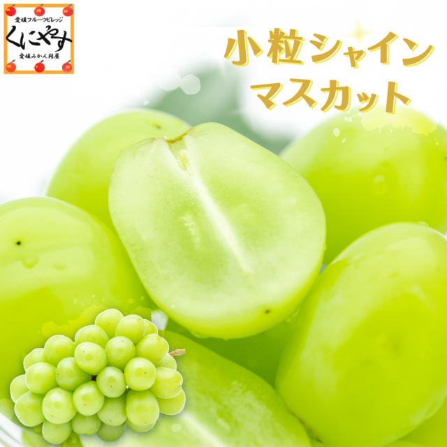 送料無料】【ギフト】小粒 シャインマスカット 約4キロ（6～10房）9月 
