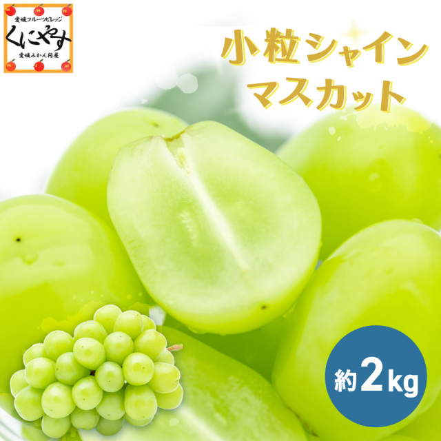 9,999円　2箱で9,980円　リピーター様には脱粒シャインマスカット1kg付 粒商品】取り分けいらず！約2房分が粒になったシャイン