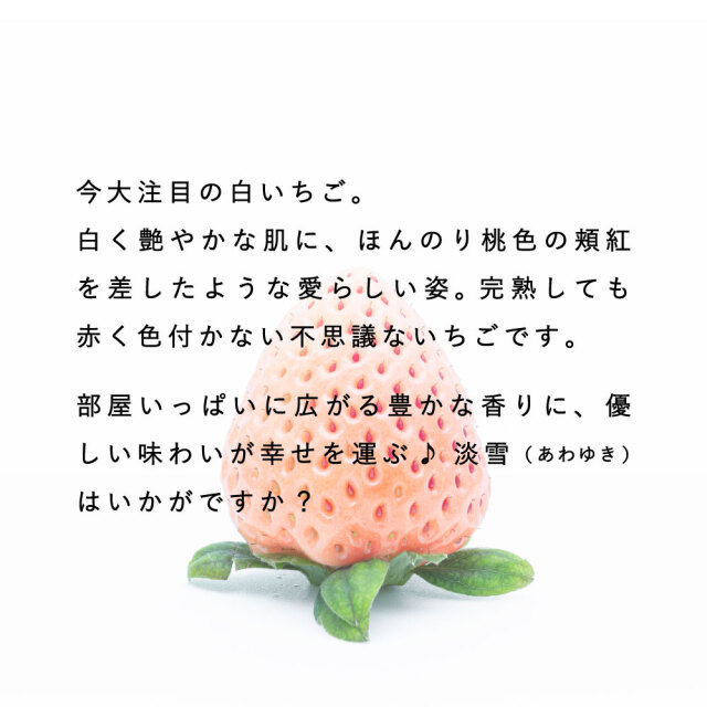 淡雪