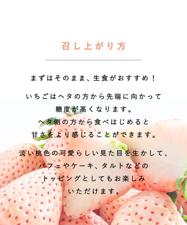 淡雪いちご〇。ページです♡ 淡雪（あわゆき） | hanafru FRUIT Navigation | hanafru