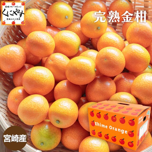 金柑