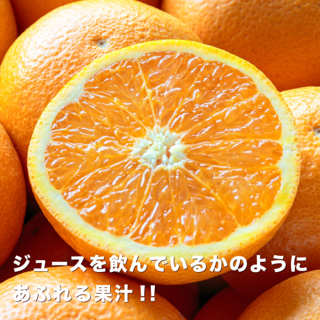 【Pё】みかん、デコポン、清美 500mlを各4本＊2箱　【２箱縛り】 化粧箱】L-332 温室みかん 2kg 195×270×90mm (60枚入) | 包装