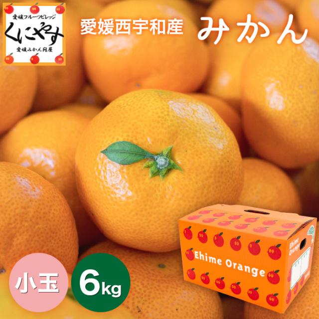 小玉みかんサムネイル