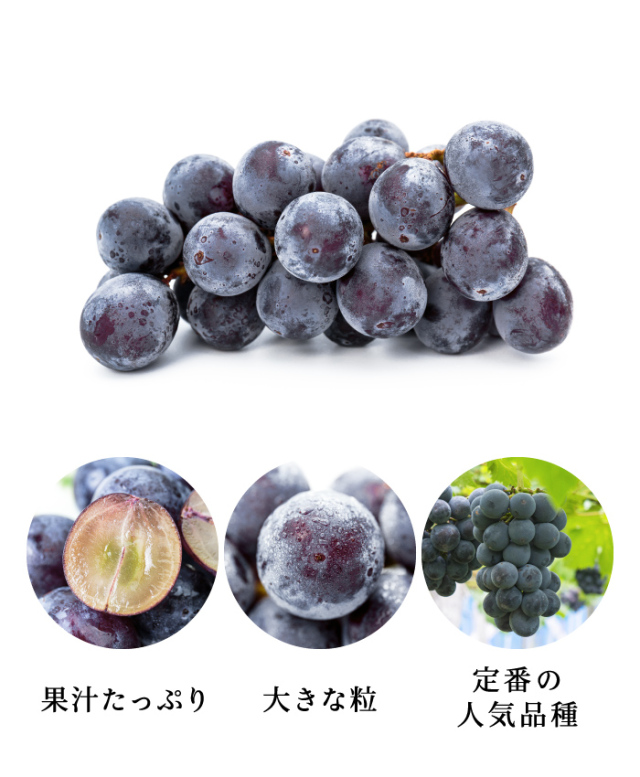 内子産巨峰