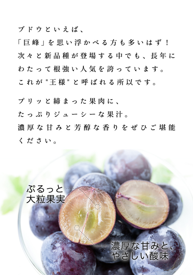 ぶどうの産地・愛媛県内子町の巨峰が登場！お得な訳あり品は家庭用に