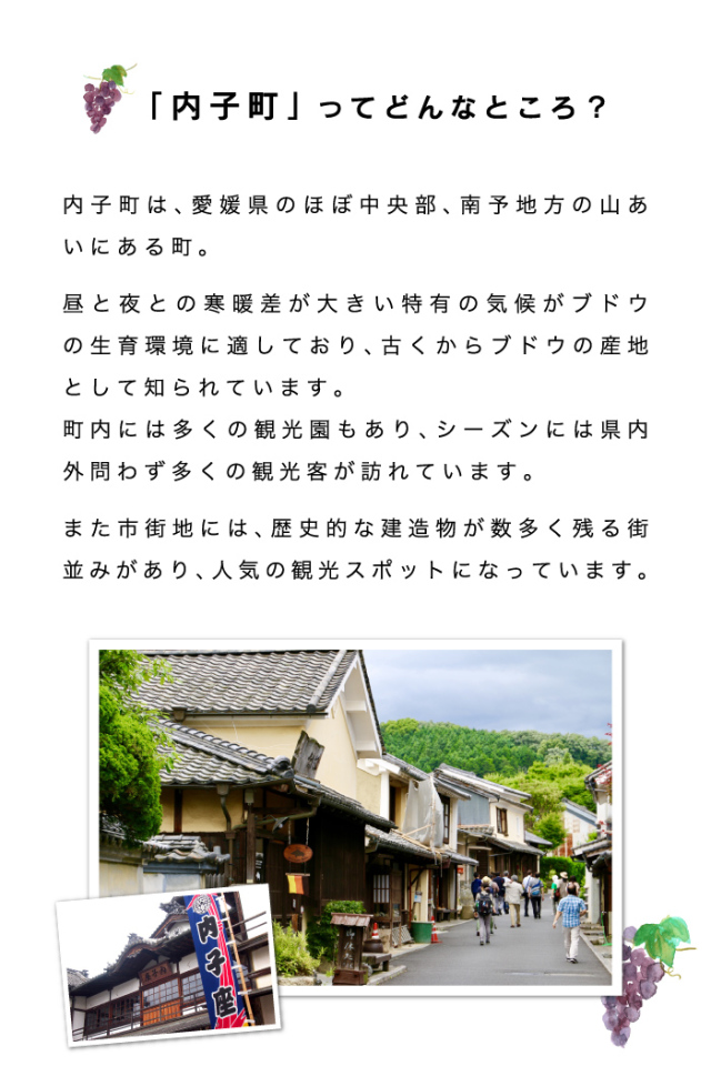 内子産巨峰