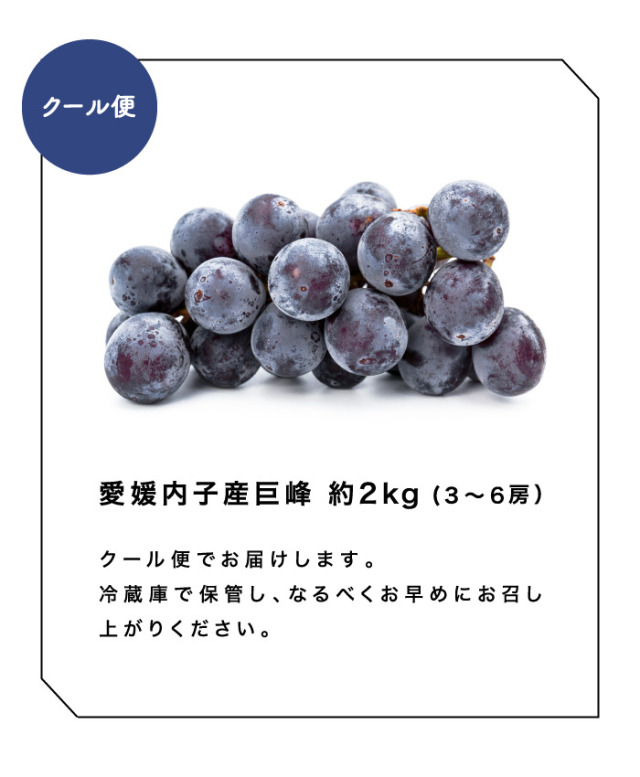 ぶどうの産地・愛媛県内子町の巨峰が登場！お得な訳あり品は家庭用に