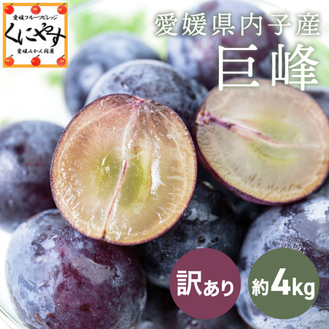 ぶどうの産地・愛媛県内子町の巨峰が登場！お得な訳あり品は家庭用に
