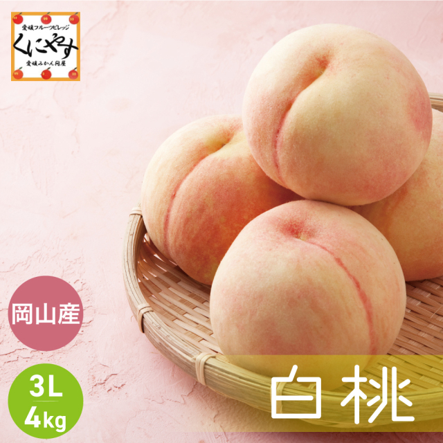 桃の妖精 晴れの国・岡山県で育った夏のフルーツの代表格「白桃」を全国発送