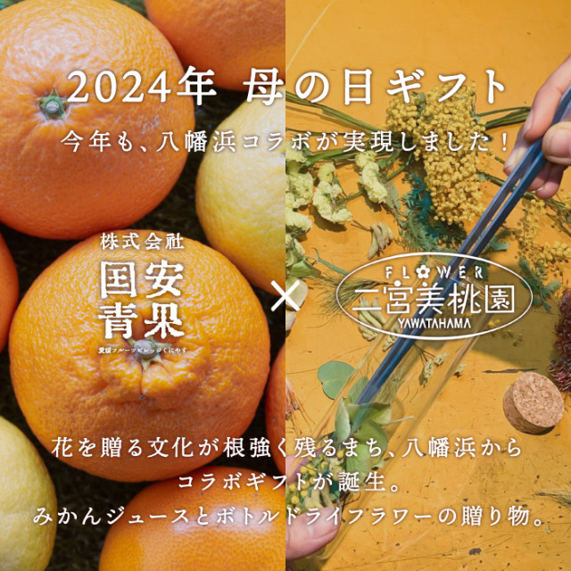 ☆ 母の日 ギフト 予約受付中！☆創業85年 愛媛みかん の老舗☆【送料