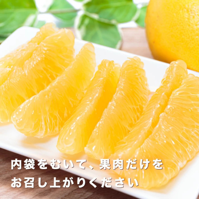 爽やかな味わいの愛媛西宇和産のナダオレンジを少量から楽しめるお試し用