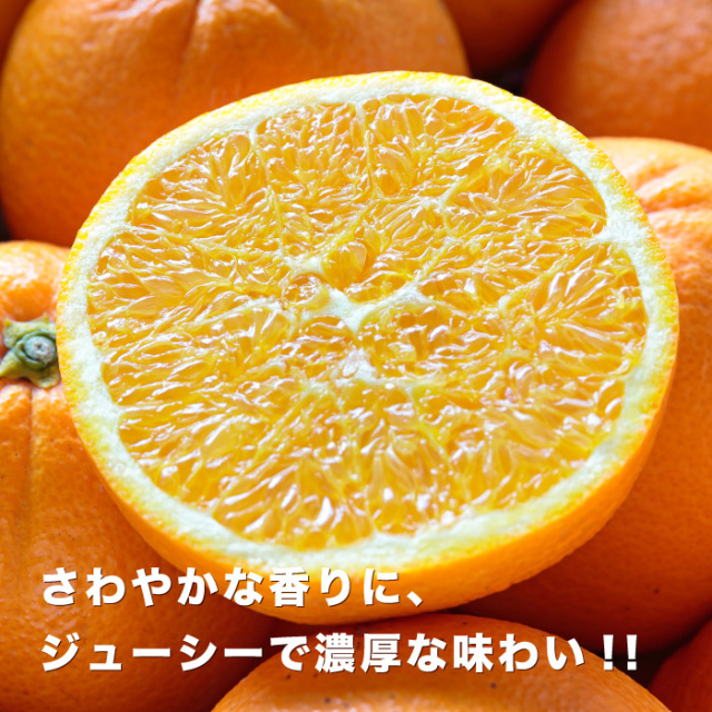 ネーブルイメージ