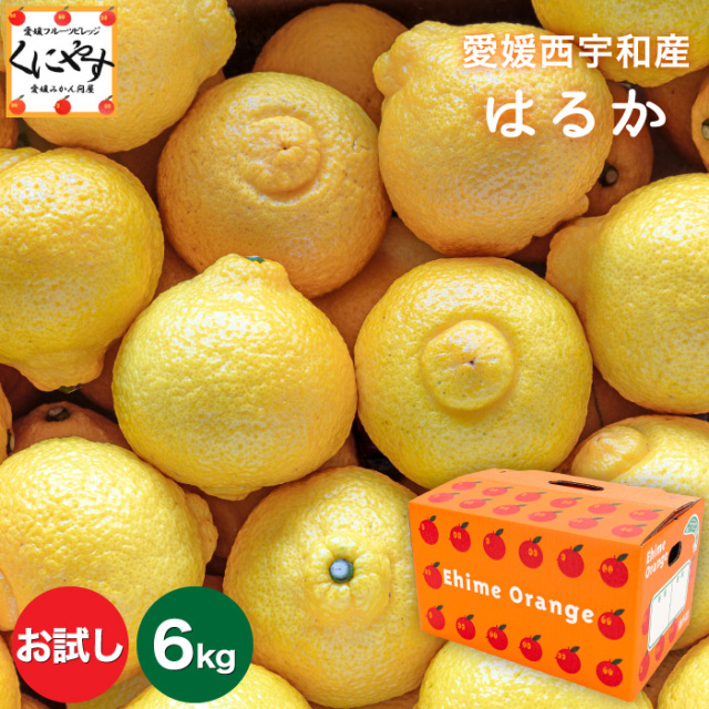 「お試し愛媛はるか3×2」【送料無料】【産地直送】お試し 愛媛 西宇和産 はるか 6キロ(3キロ×2箱)デコポンをレモン色にしたような外見