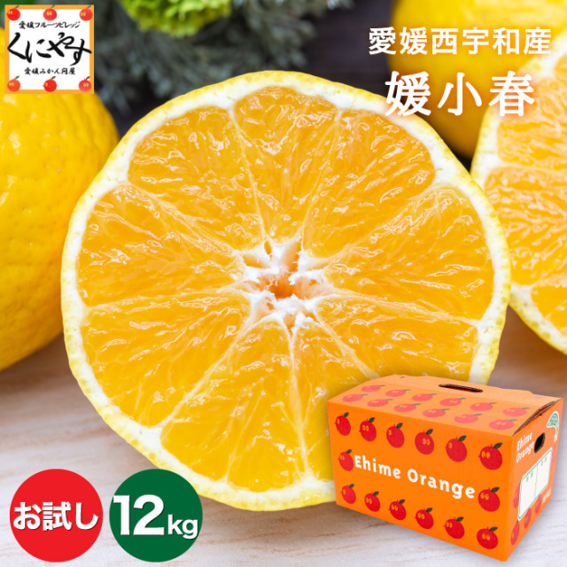 お試し媛小春12kg