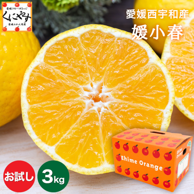 お試し媛小春3kg