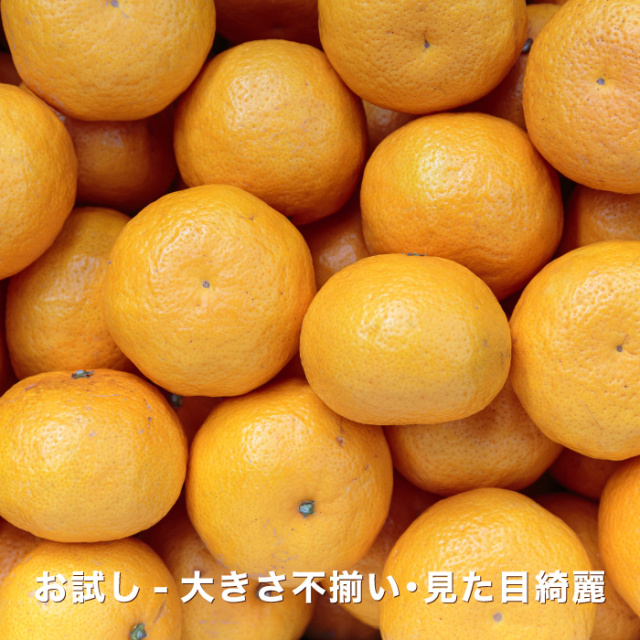 お試し媛の月イメージ