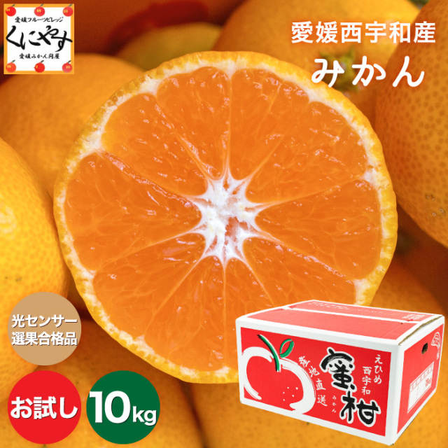 お試しみかん