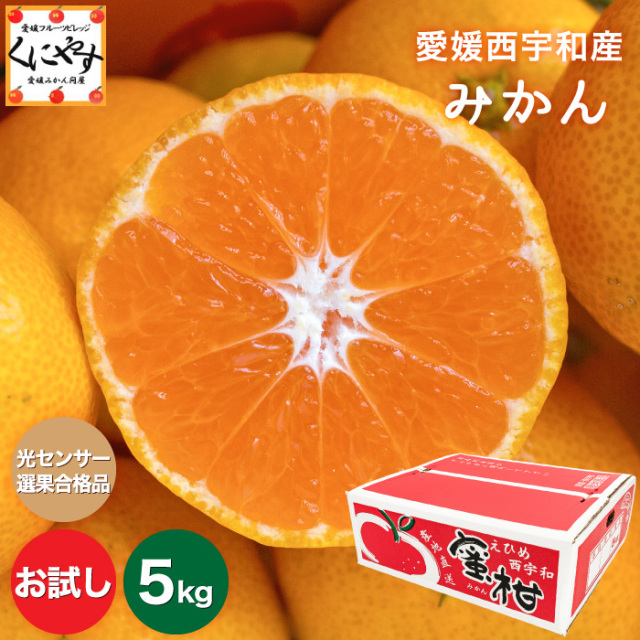 お試しみかん