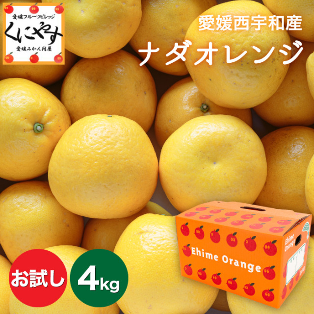 Nashi diet4箱 ナシダイエット1箱 nashi diet 1box｜Yahoo!フリマ（旧PayPayフリマ）