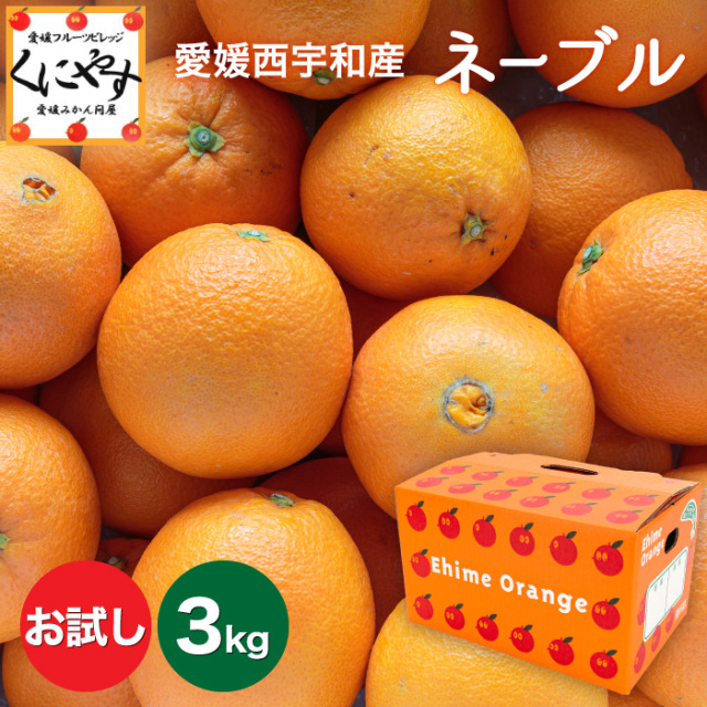 お試しネーブル3kg
