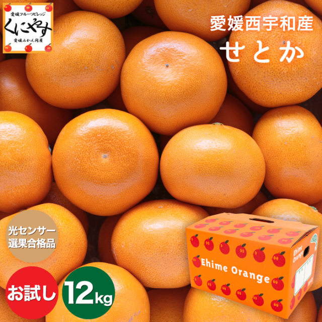 お試しせとか12kg