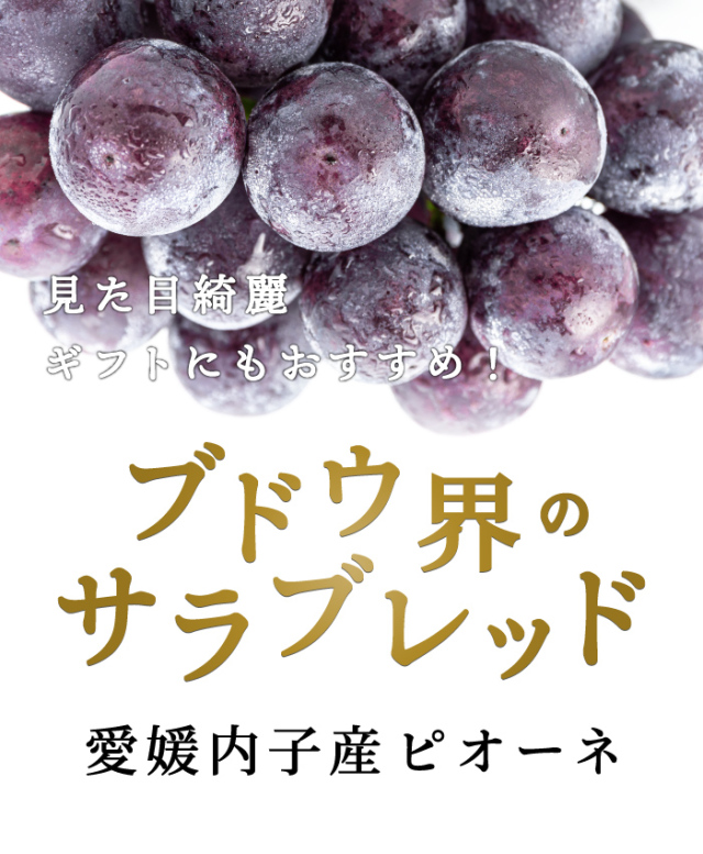 内子産ピオーネ