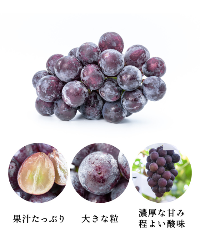 内子産ピオーネ