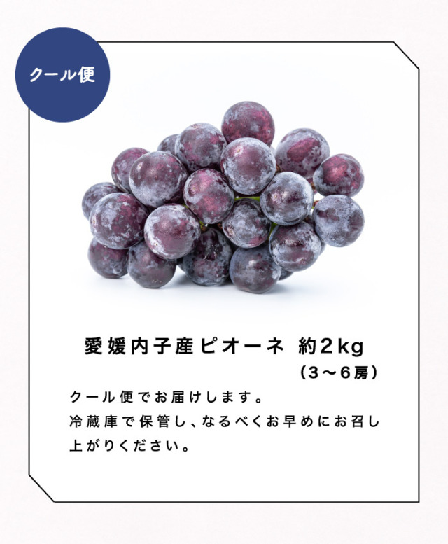 内子産ピオーネ