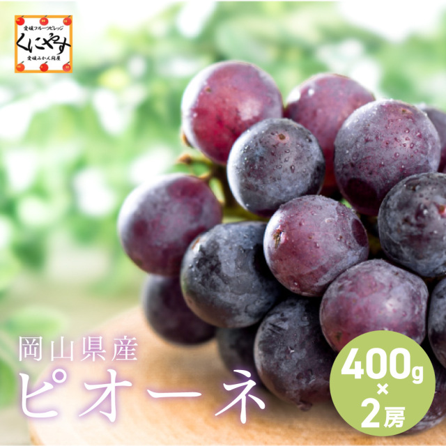 岡山産ピオーネ