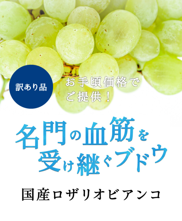 ロザリオビアンコ