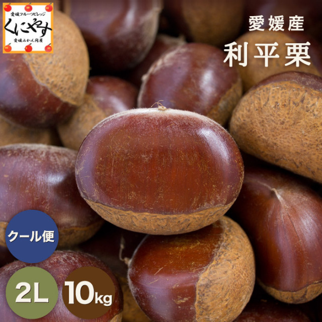 g-rihei_10k_2l.jpg?t=