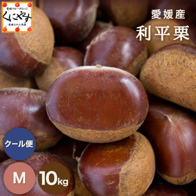 利平栗 3L 2kg 氷温貯蔵 ¥7000高 品質