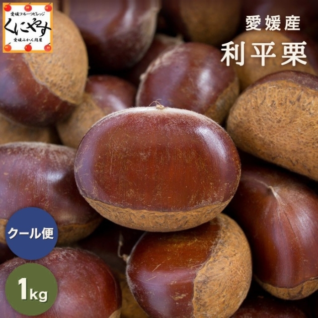 「利平栗 1kg」★最高峰の幻の 栗 深い香りと濃厚な甘み★【送料無料】【クール・冷蔵便】愛媛産 利平栗 1キロ M～3Lサイズ 希少な逸品！生栗 国産 和栗