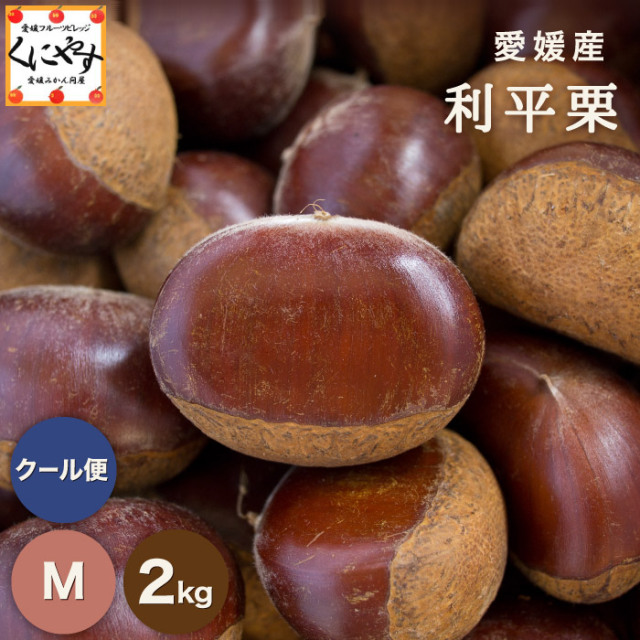 「利平栗 2kg」【送料無料】【クール・冷蔵便】愛媛産 利平栗 2キロ M～3Lサイズ 希少な逸品！最高峰の幻の栗！生栗