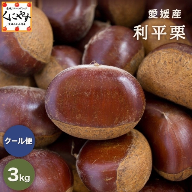 「利平栗 3kg」★最高峰の幻の 栗 深い香りと濃厚な甘み★【送料無料】【クール・冷蔵便】愛媛産 利平栗 3キロ M~3Lサイズ 希少な逸品!生栗 国産 和栗