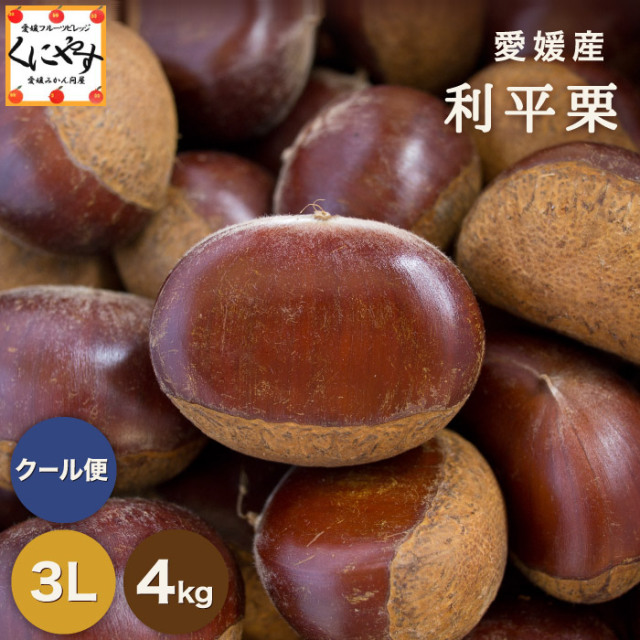 栗拾い様確認用 g-rihei_4k_3l.jpg?t=20240627093605