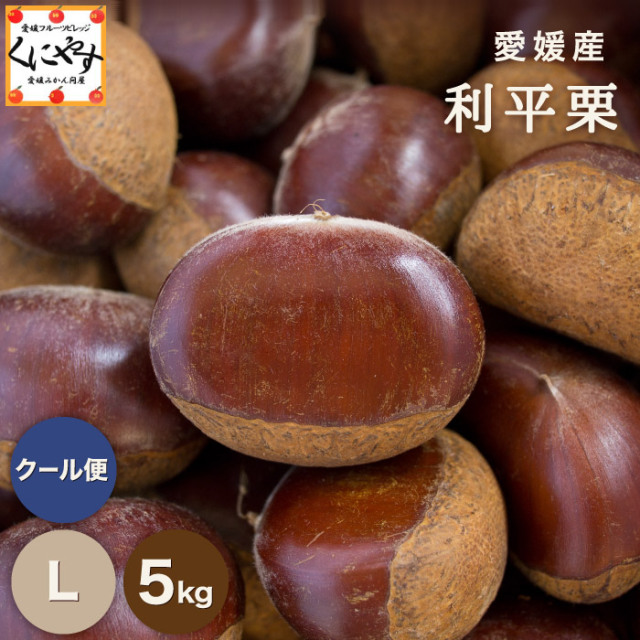 独特な甘みが特徴の利平栗を栗の一大産地・愛媛県より産地直送【5kg】