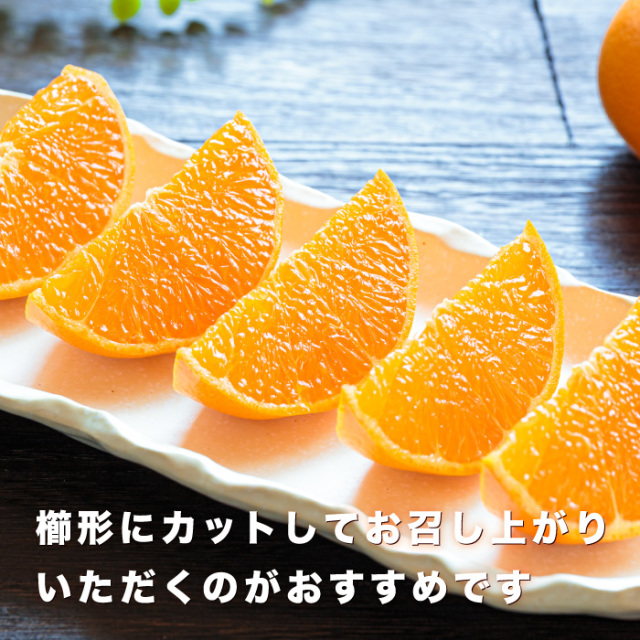 せとかイメージ