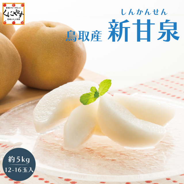 ★甘い果汁が泉のようにあふれる！ご予約受付開始★【送料無料】【ギフト】【贈答用】鳥取県オリジナル品種 鳥取産 新甘泉 (しんかんせん) 「新甘泉 約5kg」梨 ナシ お取り寄せ 和梨