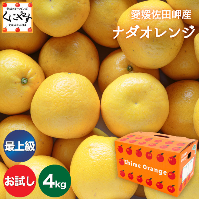 「お試し最上ナダオレ2×2」【最上級こだわり品】【送料無料】【産地直送】愛媛佐田岬産ナダオレンジ お試し4kg (2kg×2箱)
